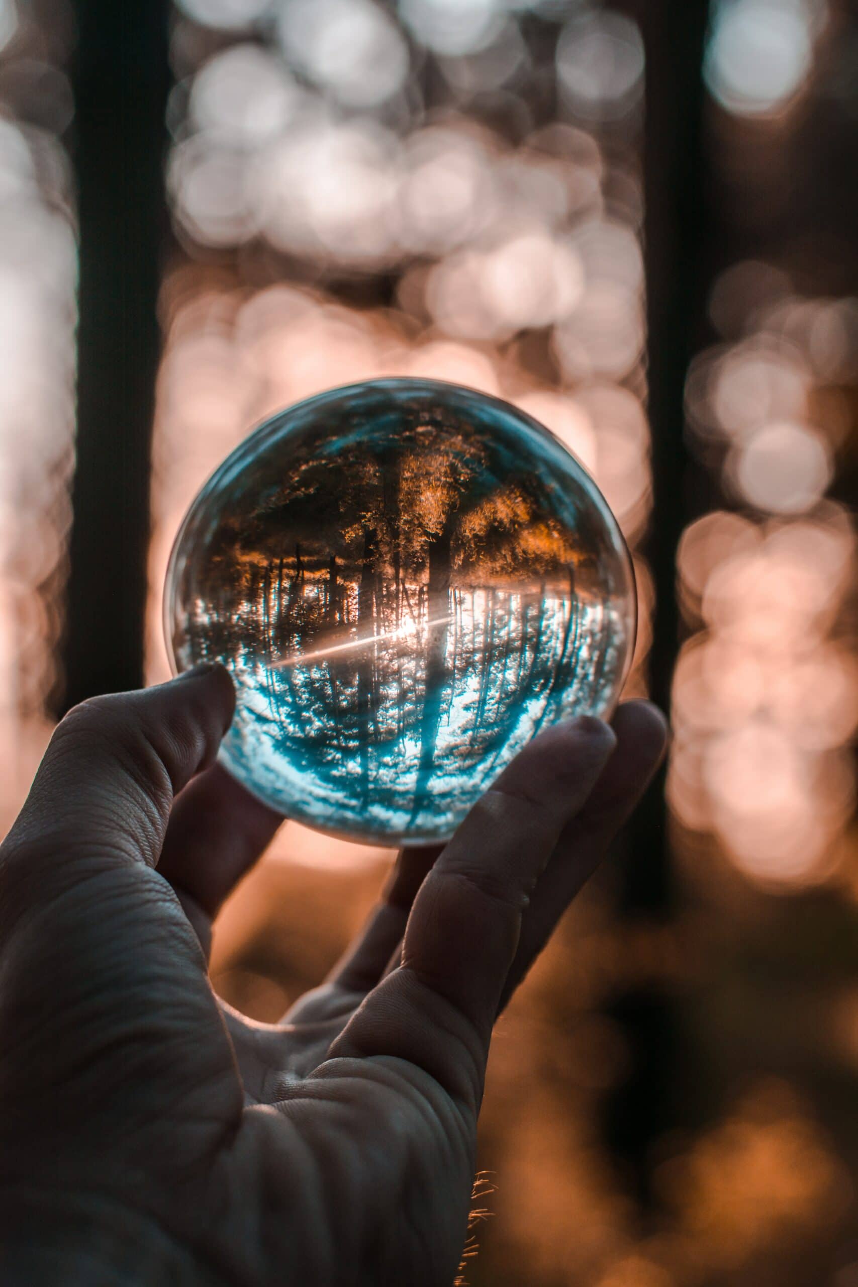 A person holding a glass ball in front of a forest, charting a mission through the serene landscape.